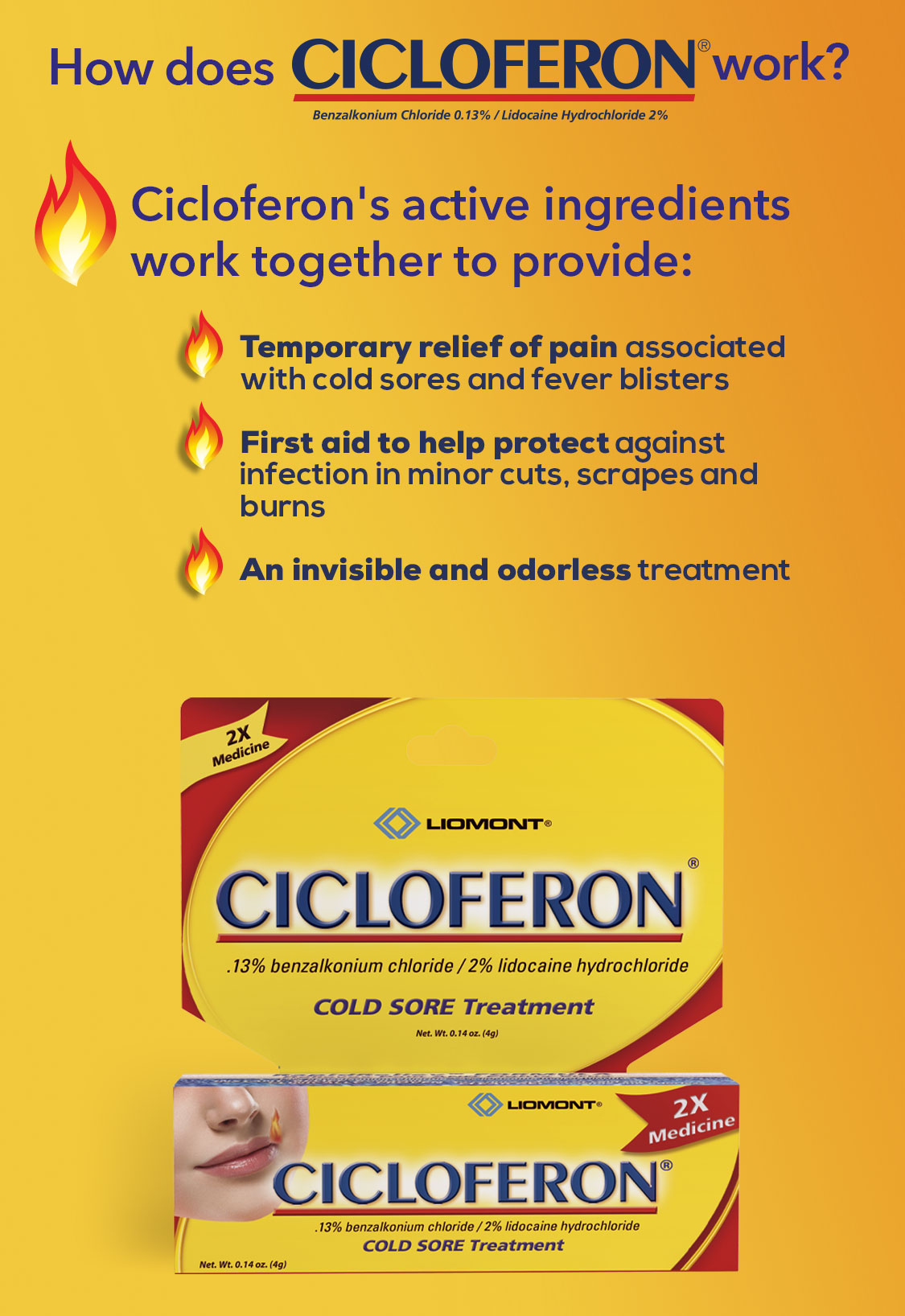 How works Cicloferon